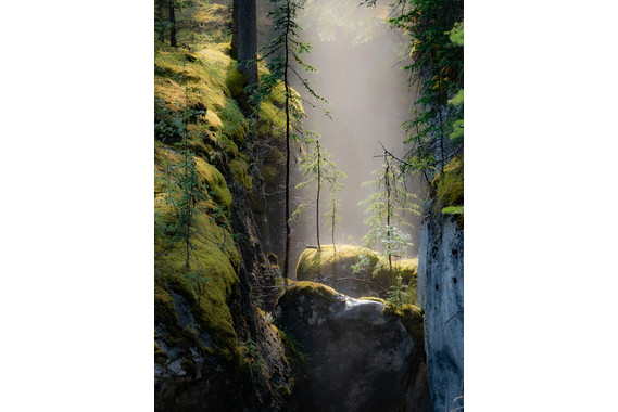 <p>1st - B Grade: Open Digital - A Little Ray Of Sunshine Maligne Canyon - Jasper Canada <small>© Darryl Martin</small></p>
