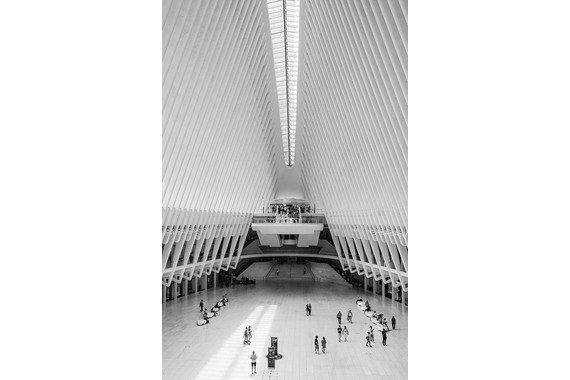 <p>1st - B Grade: Open Print - 9-11 Memorial <small>© Gayle Tout</small></p>
