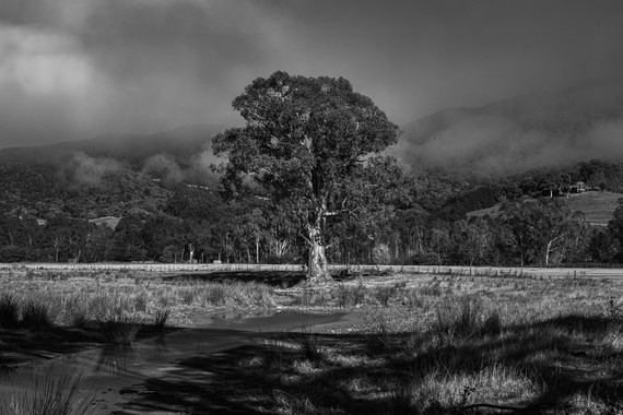 <p>3rd - B Grade: Set Digital - Morning Fog Myrtleford <small>© Matt Peart</small></p>
