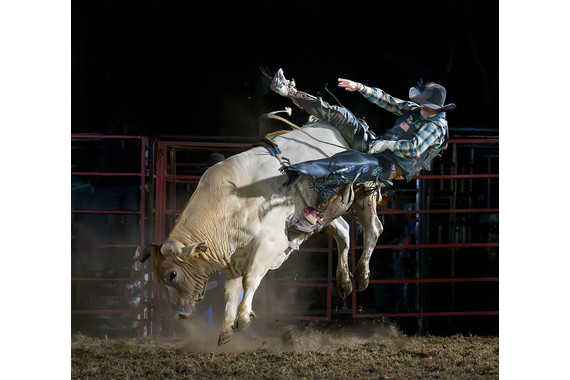 <p>1st - A Grade: Open Digital - Bull Riding <small>© Neil Anderson</small></p>
