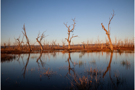 <p>1st - B Grade: Set Digital - Winton Wetlands <small>© Michael Costa</small></p>
